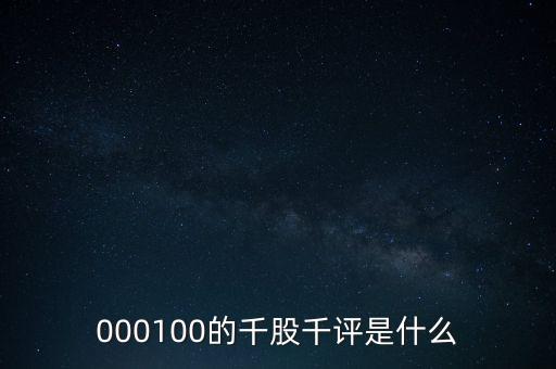 000100的千股千評是什么