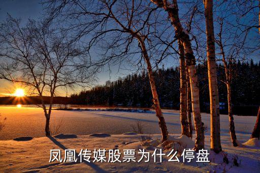 鳳凰傳媒股票為什么停盤