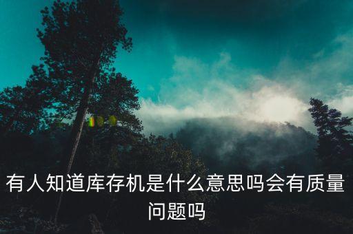 有人知道庫存機(jī)是什么意思嗎會有質(zhì)量問題嗎