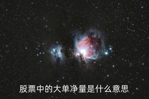 股票中的大單凈量是什么意思