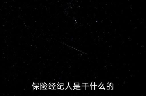 保險(xiǎn)經(jīng)紀(jì)人是干什么的
