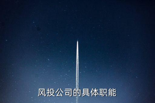 風(fēng)險(xiǎn)投資公司是做什么的，風(fēng)險(xiǎn)投資公司是干什么的謝謝