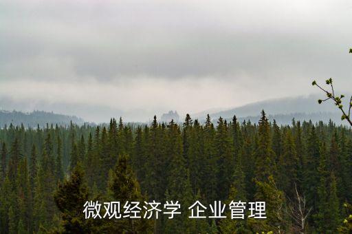 什么是有效規(guī)模，什么是最小有效規(guī)模