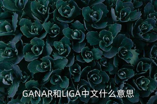 人民幣勝什么意思，韓版惡作劇之吻高中畢業(yè)勝祖跟哈妮照相時(shí)勝祖說(shuō)的錢(qián)是什么意