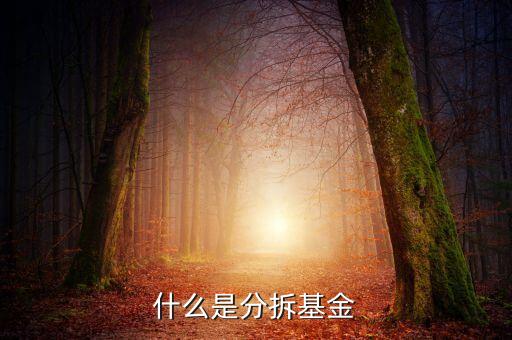 什么是分拆基金