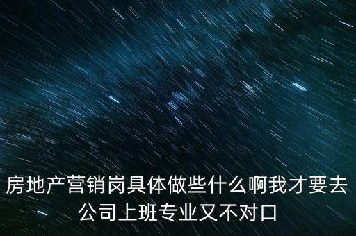 房地產營銷崗具體做些什么啊我才要去公司上班專業(yè)又不對口