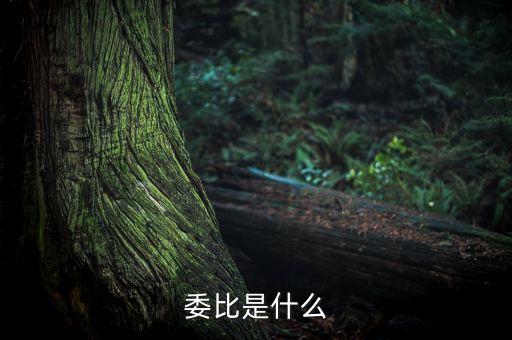 什么是委比指標，股票里面的委比是什么意思