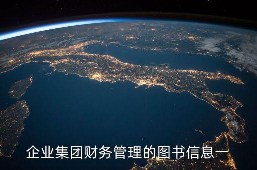 企業(yè)集團(tuán)財(cái)務(wù)管理的圖書(shū)信息一