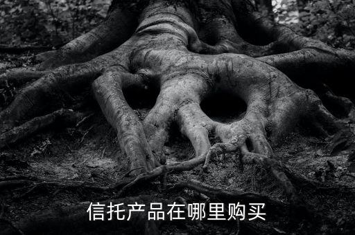 信托產(chǎn)品在哪里購買