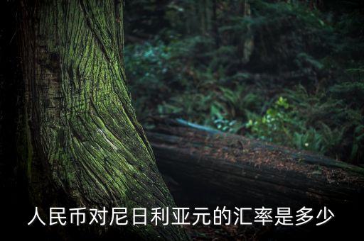 人民幣對尼日利亞元的匯率是多少