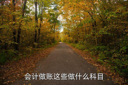 納米鈣會(huì)計(jì)記錄什么科目，會(huì)計(jì)分錄包括哪些內(nèi)容