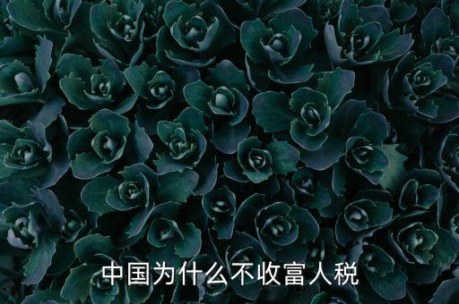 中國(guó)為什么不收富人稅