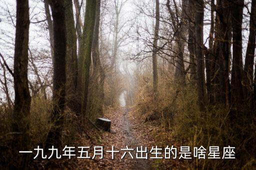 一九九年五月十六出生的是啥星座