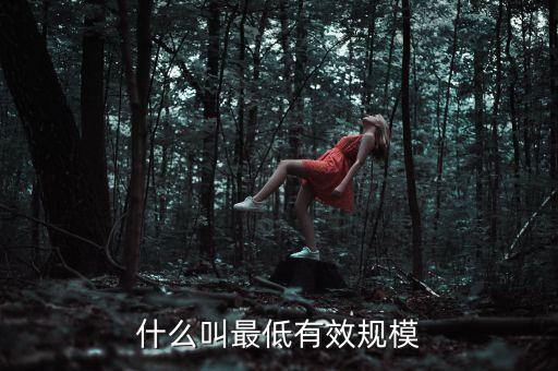 什么叫最低有效規(guī)模