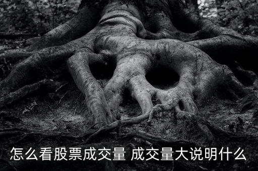 股票成交額大說明什么，成交量放大意味什么