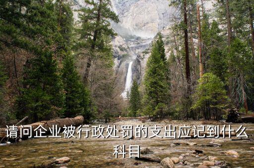 請問企業(yè)被行政處罰的支出應(yīng)記到什么科目