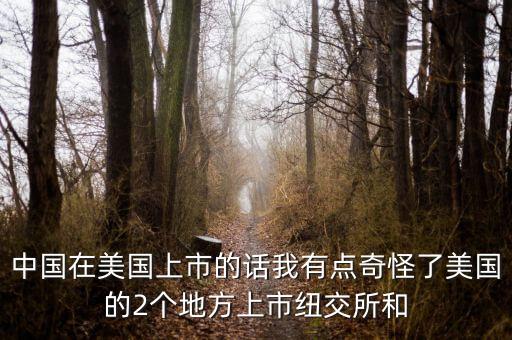 在美國什么地方上市，怎么知道美股在美國哪個交易所上市的