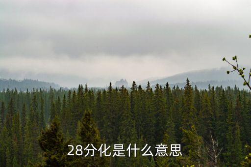 股市28分化什么意思，28分化是什么意思