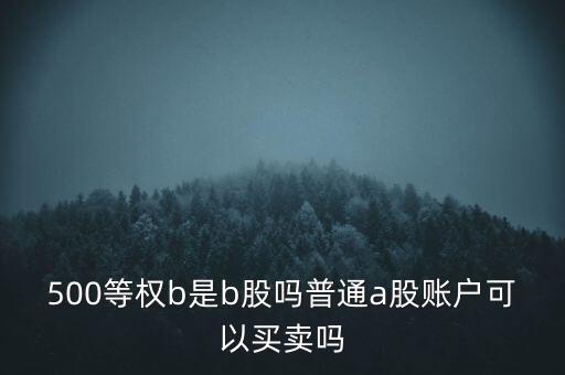 500等權(quán)是什么，500等權(quán)b是b股嗎普通a股賬戶可以買(mǎi)賣(mài)嗎
