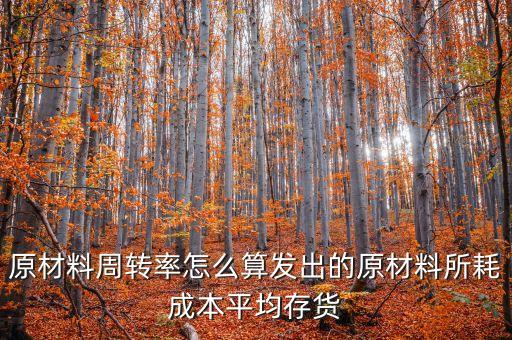 材料周轉(zhuǎn)率是什么，90原材料周轉(zhuǎn)率周轉(zhuǎn)天數(shù) 什么意思
