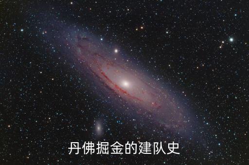 丹佛掘金的建隊史