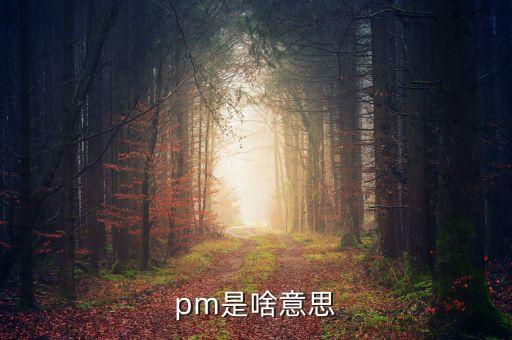 市場部pm什么意思，pm是啥意思