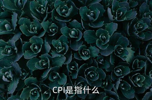 什么是cpi如何理解，CPI是指什么