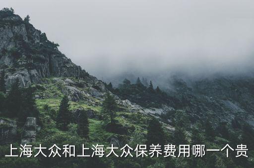 上海養(yǎng)車為什么貴，上海大眾和上海大眾保養(yǎng)費用哪一個貴