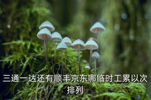 三通一達還有順豐京東哪臨時工累以次排列