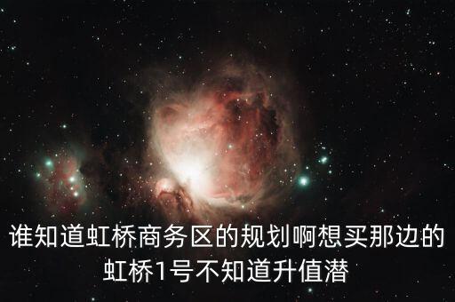 為什么虹橋商務(wù)區(qū)，ospf為什么要?jiǎng)澐謪^(qū)域