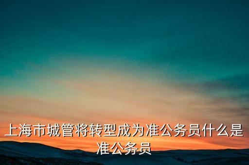 城管改革后是什么身份，城管怎么查看我的身份