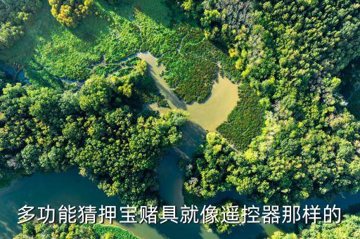 押寶叫什么，押寶怎么玩