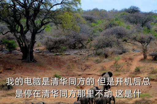 我的電腦是清華同方的 但是開機后總是停在清華同方那里不動 這是什