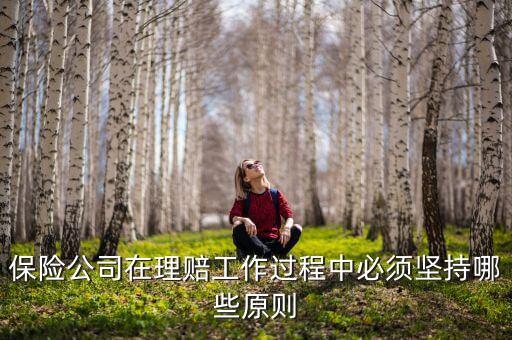 保險公司在理賠工作過程中必須堅持哪些原則