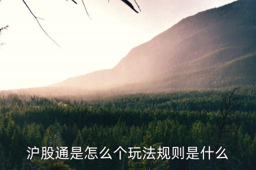 滬股通是怎么個(gè)玩法規(guī)則是什么