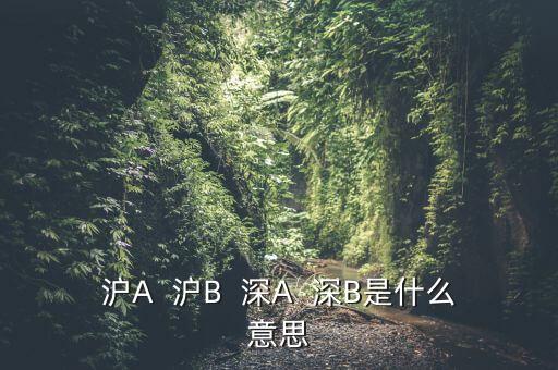 深證b指是什么意思，深證B指和成份B指
