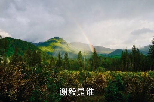 謝毅是誰