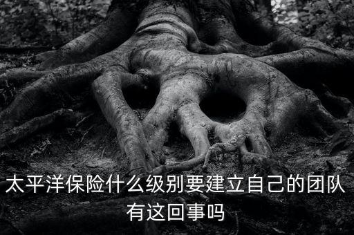 太平洋保險組建團(tuán)隊是什么意思，太平洋保險什么級別要建立自己的團(tuán)隊有這回事嗎