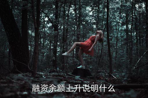 融資余額上升說明什么