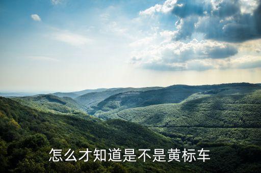 什么車不是黃標(biāo)車，如何知道車子是不是黃標(biāo)車