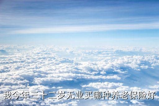 我今年三十二歲無業(yè)買哪種養(yǎng)老保險(xiǎn)好