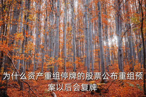 為什么資產(chǎn)重組停牌的股票公布重組預(yù)案以后會復(fù)牌