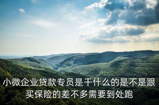 貸款專員是做什么的，小微企業(yè)貸款專員是干什么的是不是跟買保險的差不多需要到處跑