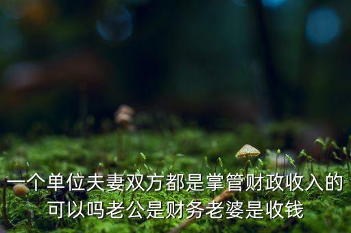 一個(gè)單位夫妻雙方都是掌管財(cái)政收入的可以嗎老公是財(cái)務(wù)老婆是收錢