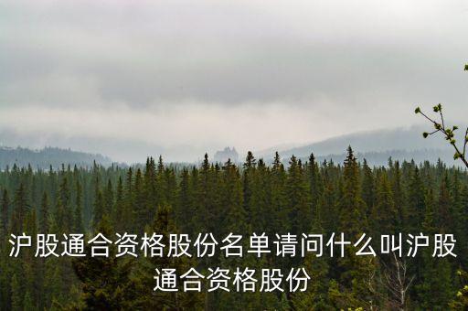 滬股通合資格股份名單請(qǐng)問(wèn)什么叫滬股通合資格股份