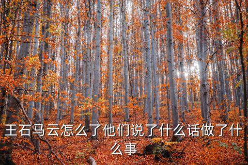 王石馬云怎么了他們說了什么話做了什么事