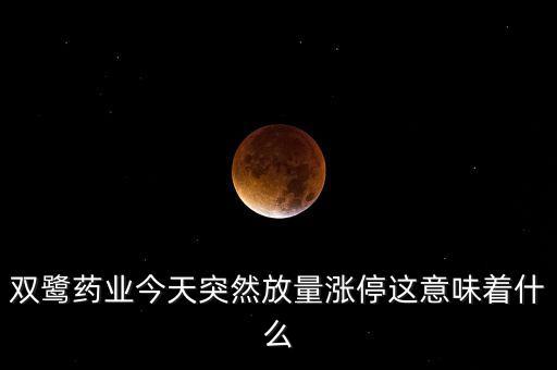 雙鷺藥業(yè)今天突然放量漲停這意味著什么