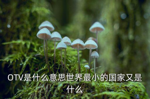 OTV是什么意思世界最小的國家又是什么
