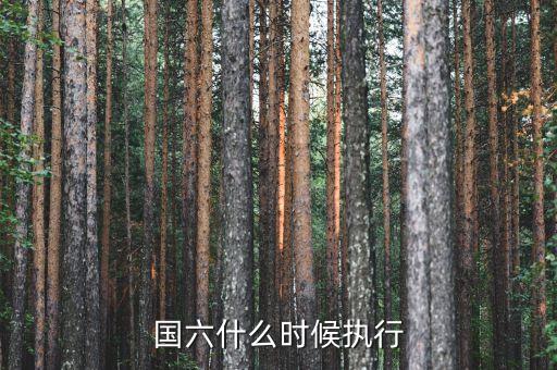國六什么時(shí)候執(zhí)行