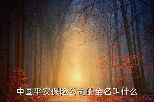 中國平安冠名什么，標(biāo)題哈哈哈平安是不是冠名了中超牛是為了那句標(biāo)語連中國足